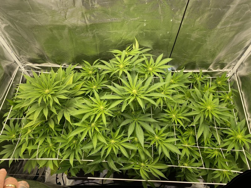 E445121A-DA42-457A-8382-F85659E773E7