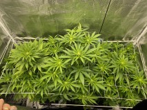 E445121A-DA42-457A-8382-F85659E773E7