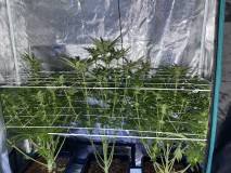 25CB58E9-E464-4F37-8297-7130FFE02A20