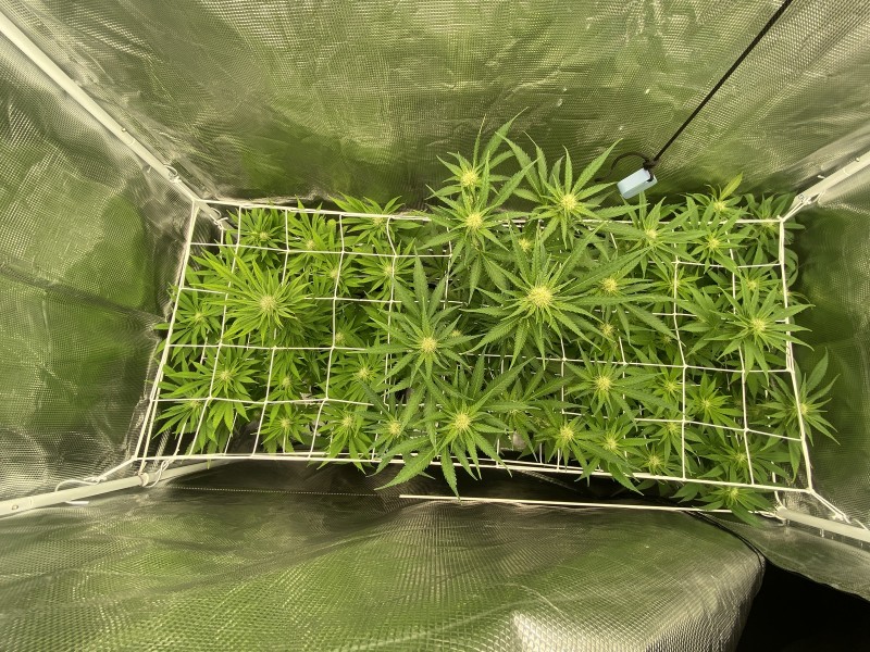 C7E0C8AC-D134-4136-AB8C-F71C7FC8A010