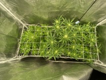 C7E0C8AC-D134-4136-AB8C-F71C7FC8A010