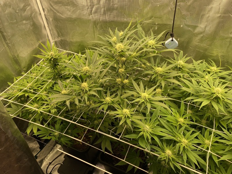 F4B7D27D-5610-4FB5-877B-F54C0D6C0280