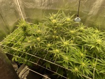 F4B7D27D-5610-4FB5-877B-F54C0D6C0280