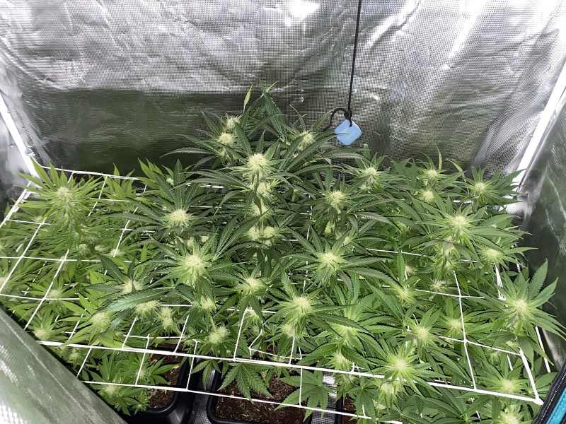 7915DF74-F2EB-42D4-98F7-8B4E70778472