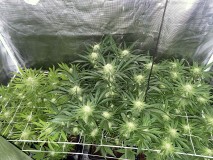 37EE0DAF-FDEE-40BD-94CF-989388C0A096