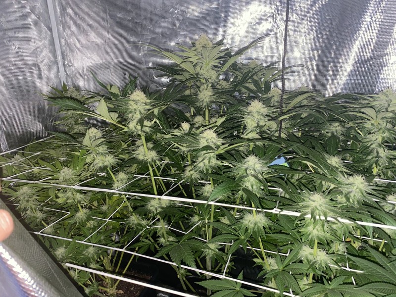 2C8AF30D-3112-4B02-8E84-3ECEEFB10104