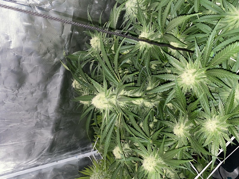 1A8337BD-FAD3-4A43-874E-F67210E7368E