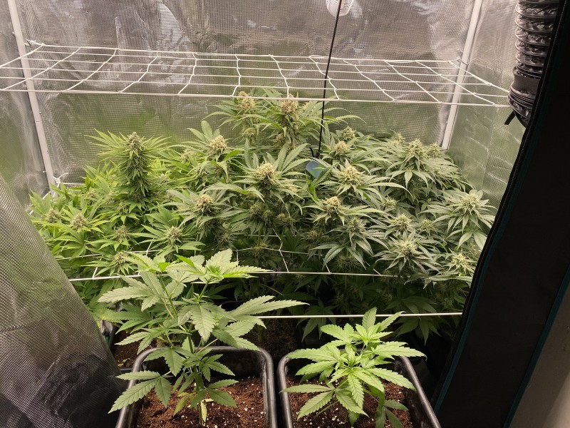 826F70C0-63EF-4A01-98A8-0518B654A47D