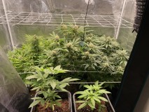 826F70C0-63EF-4A01-98A8-0518B654A47D