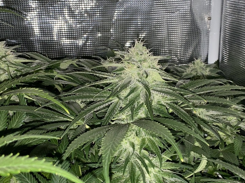 30E7F5F6-E7F3-44BD-A0DA-636FBE52020D