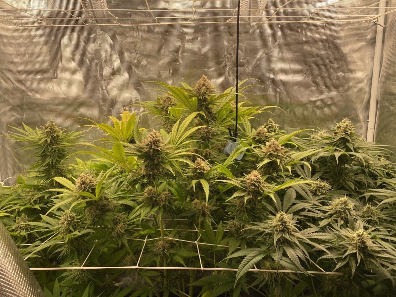 A79F4B23-941B-41FF-A7F9-2A4DBAB1D24A