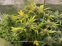 6E2A83B3-F26B-4B86-8BB8-EFF4D4BE4491