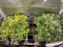 88B0F05D-CC37-4F95-ACB2-29C6684685CD