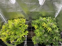 729EAB8E-551A-4036-9FCD-1C39F4CAD9B2