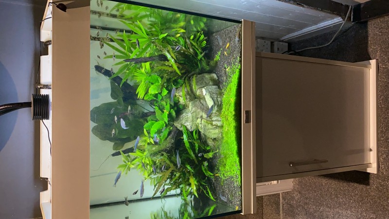 A0025D0B-68AE-4755-A528-256B492EF7FC