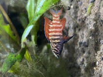 7C26BA6D-AEAE-497A-87CA-A02BCF219F0F