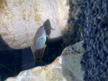 6C9F88CA-C45F-49B0-94E2-6AFEF281748B