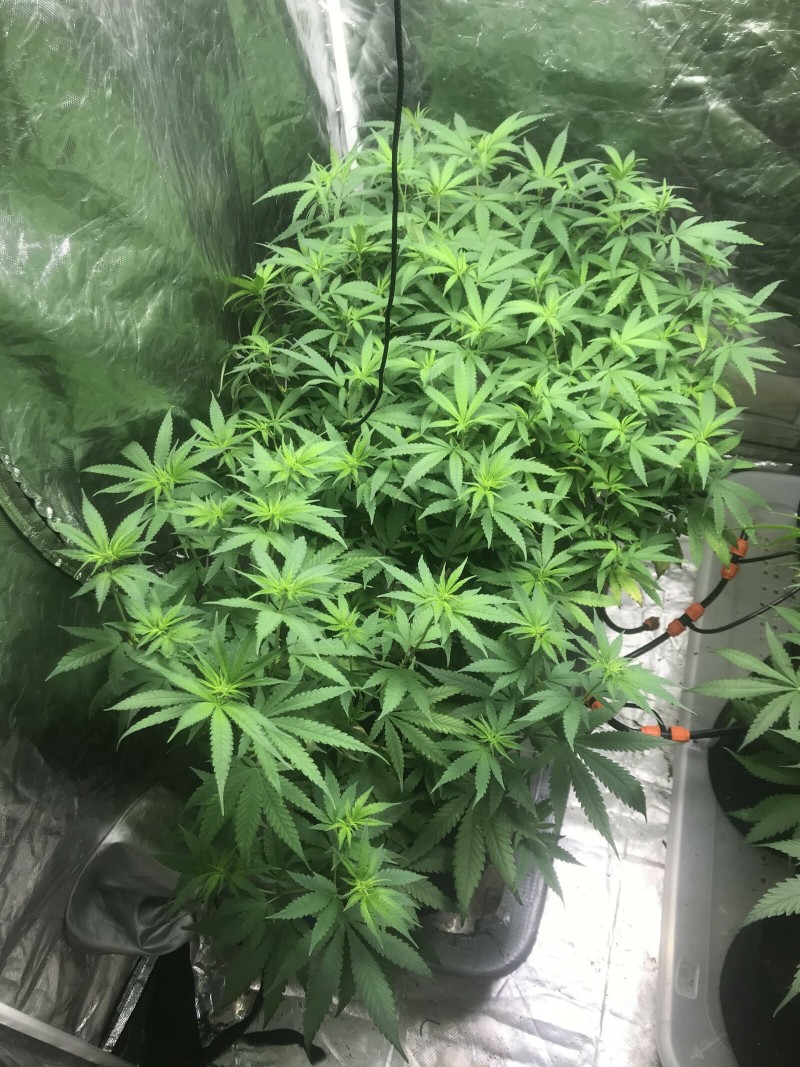 394A548C-6AA0-4279-8B76-65AEE0A787B3