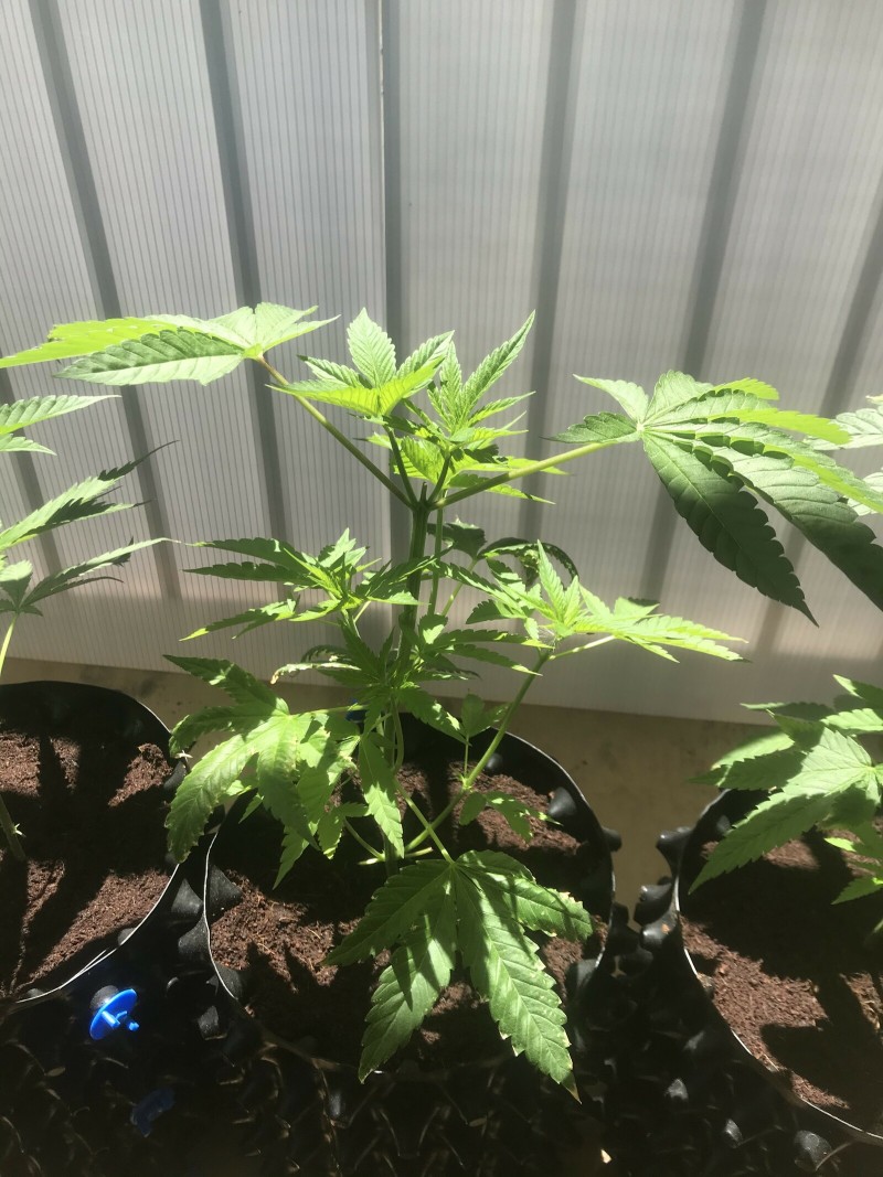 67AD2611-69F7-48BD-BC73-B0F4CA187E29