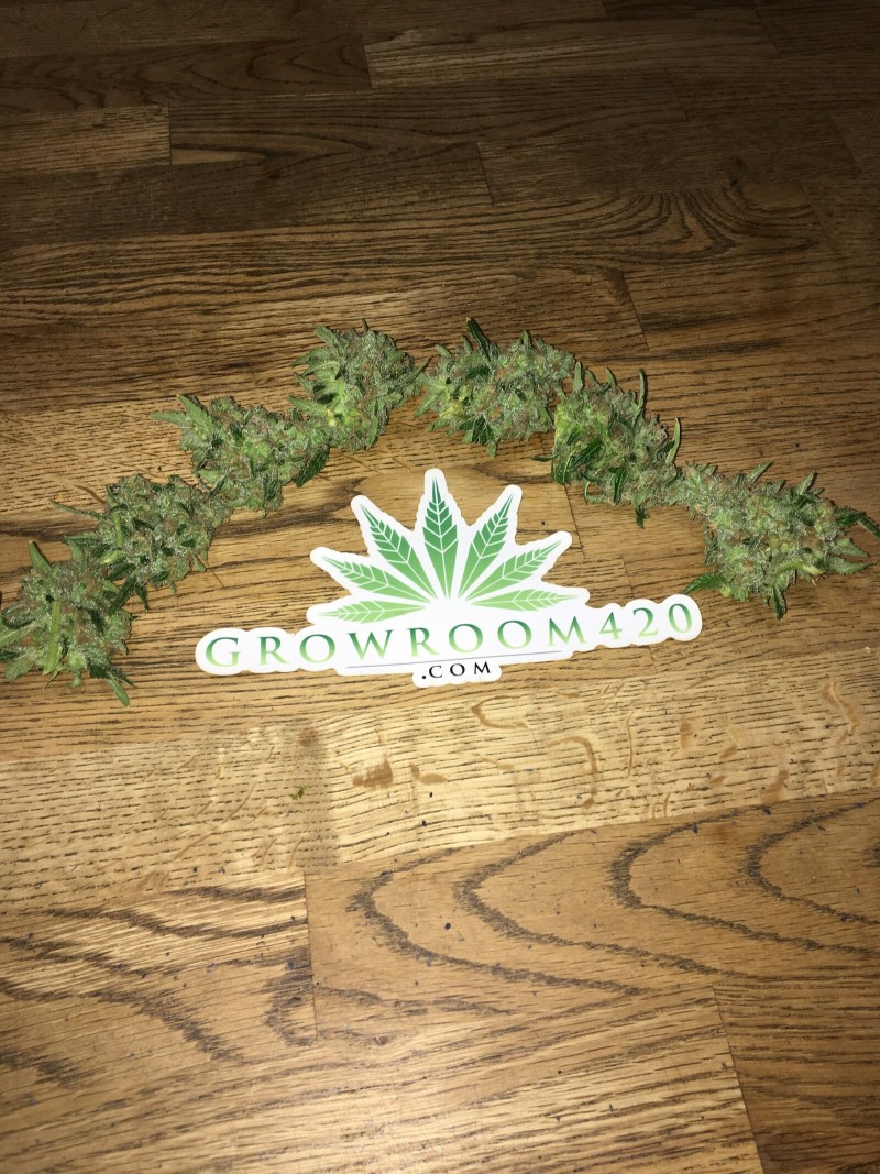 48604696-6152-4572-8AF1-117F2415B419