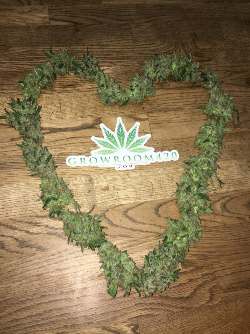 F05BEC56-B0D7-43B5-9F48-02736BEAD8E7