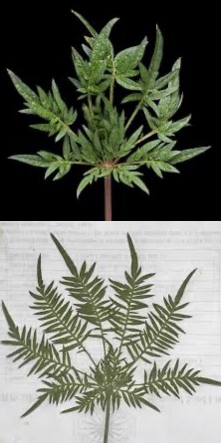 A3391C78-FD9F-4B3F-B18E-DD3452A82748