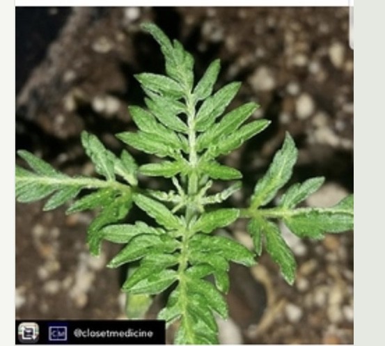 71DF59C1-BA8B-4C4B-8B01-9F9AFC210830