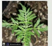 71DF59C1-BA8B-4C4B-8B01-9F9AFC210830