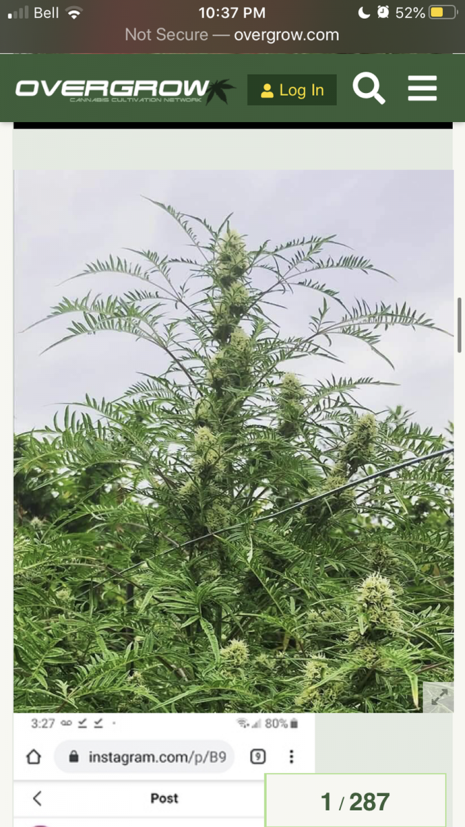 5C43E74B-95A1-4DCD-910F-E454ED8144AD