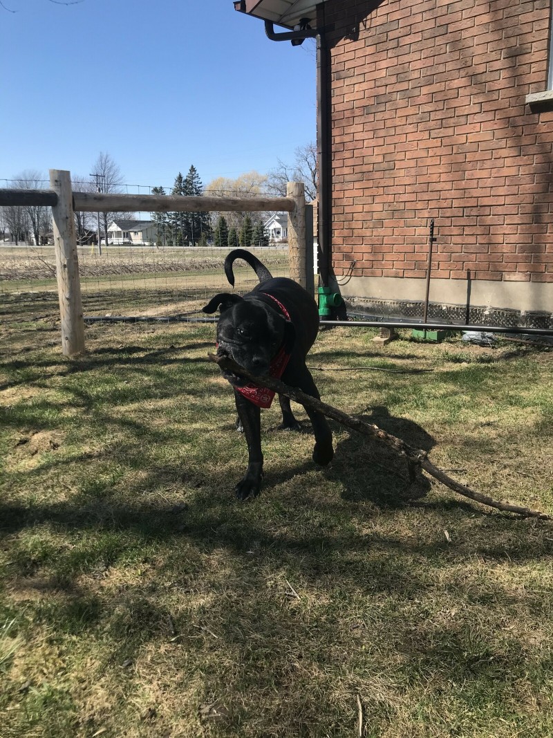 82B2ADDD-540C-4B33-A8D8-89AEA7A73C04