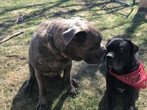 0511B908-28D9-4668-9DEF-506E8CA08610