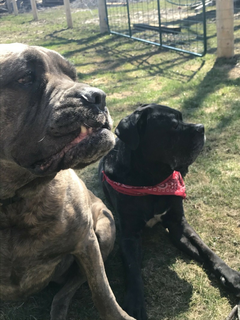 39F2454F-BA36-441D-9A15-7AF66837BF3B