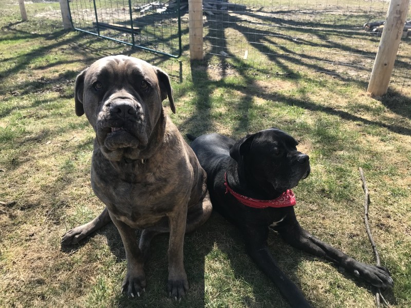 2DCDE70C-12C9-4470-B77E-912CD8BE8652