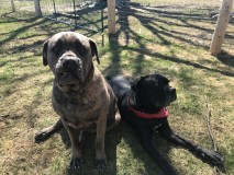 2DCDE70C-12C9-4470-B77E-912CD8BE8652