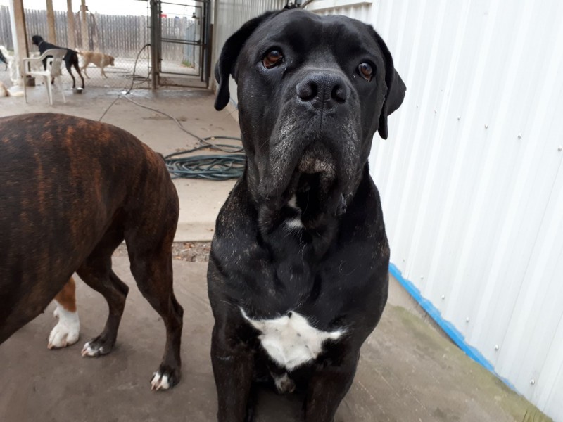 D37B614C-0D44-49FB-BDE9-17901431DFB4