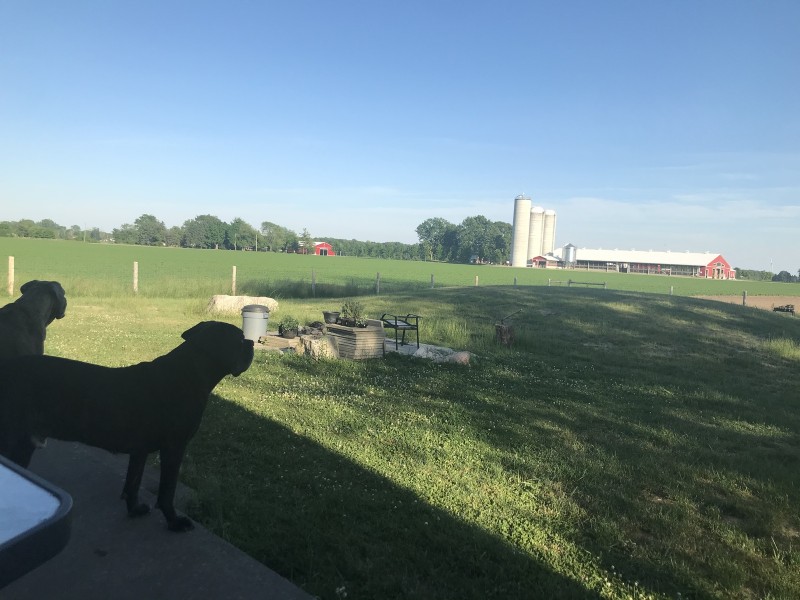 5C3568D2-317D-493C-A8C7-168E9ED1561B