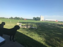 5C3568D2-317D-493C-A8C7-168E9ED1561B