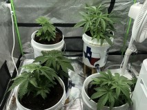 46E2EA0E-FBED-4D44-B964-E68A89766EB8