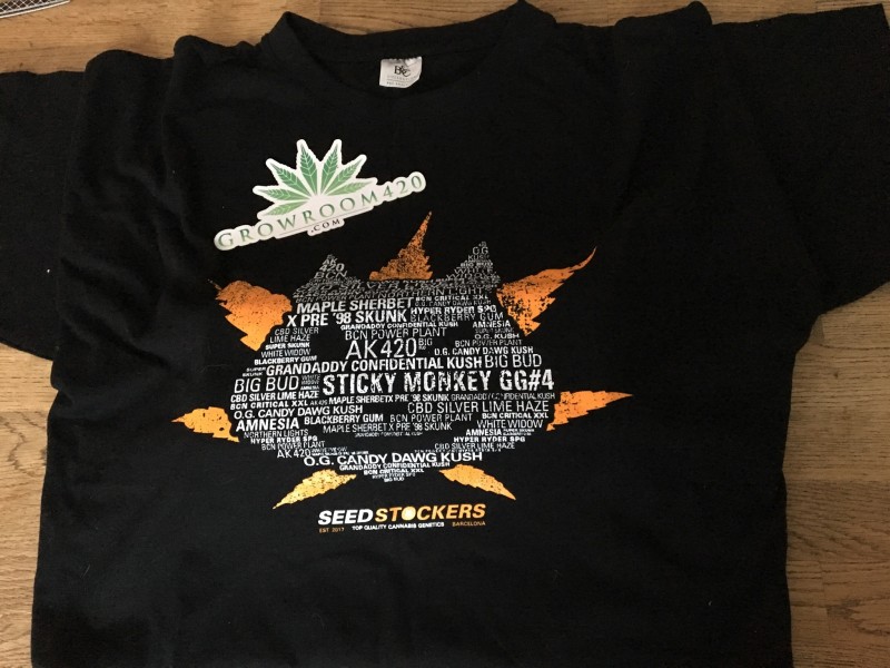 62355FF4-734E-468E-99CD-F266584EE9DE