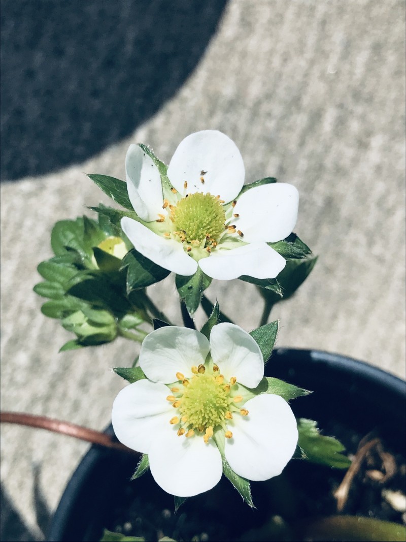 1E79ABBC-615F-4697-8E32-4B4EB35591B4