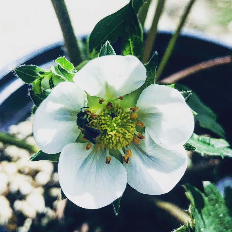 C4AC970E-1A7D-48B9-8EFB-2F1ACDBA5157