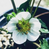 C4AC970E-1A7D-48B9-8EFB-2F1ACDBA5157