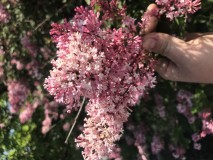 3FEB9585-447D-498B-AE75-9A4E2EF822D6