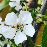 EF868C56-70D3-4E7B-8020-888C71B6F6A6