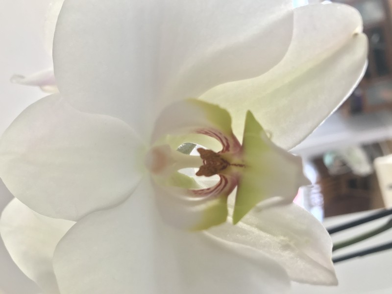 195F67C4-959B-4C4A-8C85-44037AF87FA0