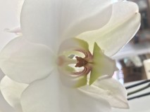 195F67C4-959B-4C4A-8C85-44037AF87FA0