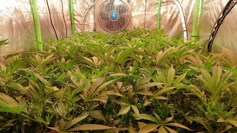 VideoCapture_20200621-113803