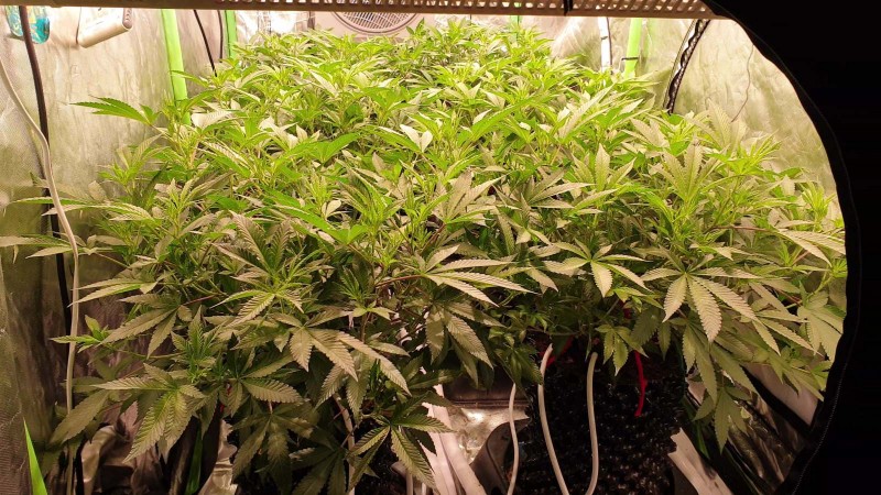 VideoCapture_20200621-113730