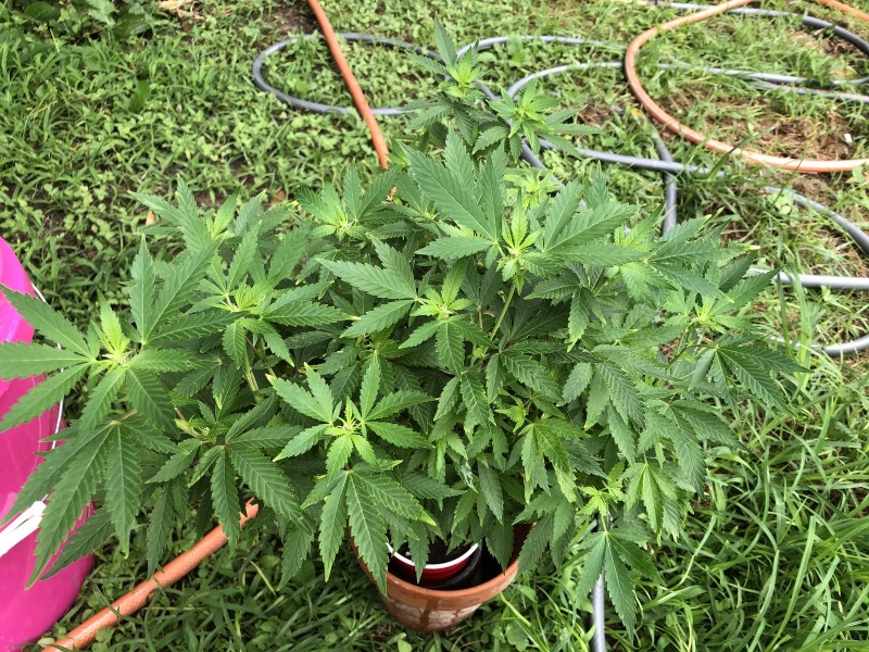 BB5AC032-2925-4B4B-884A-9076F4C04CC1