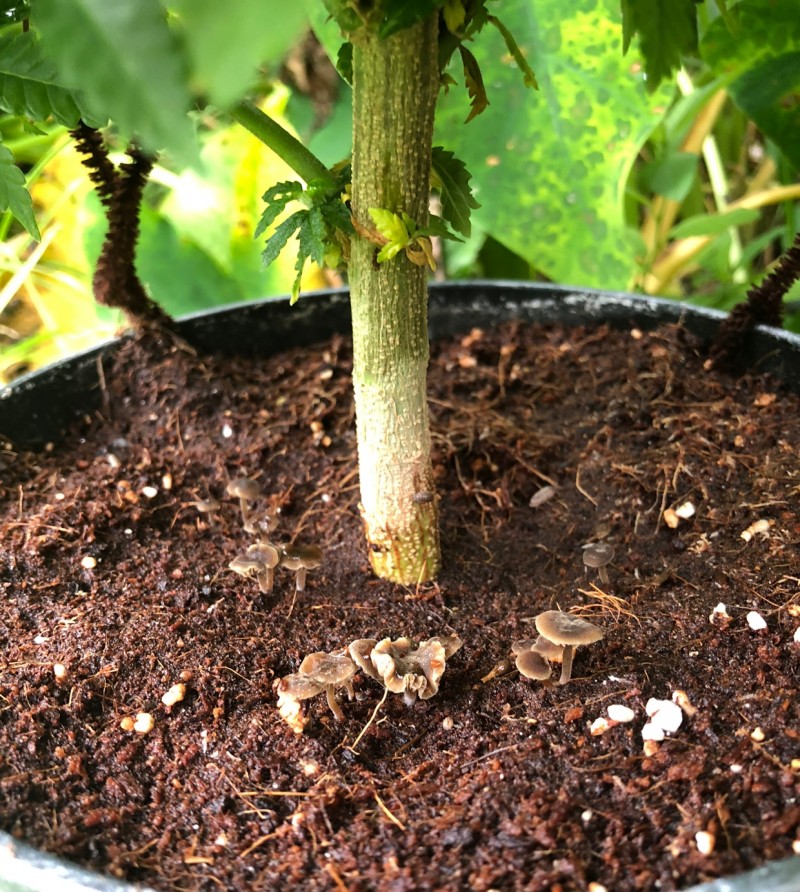 DA271CE5-8B8E-476F-A223-E56197E84087